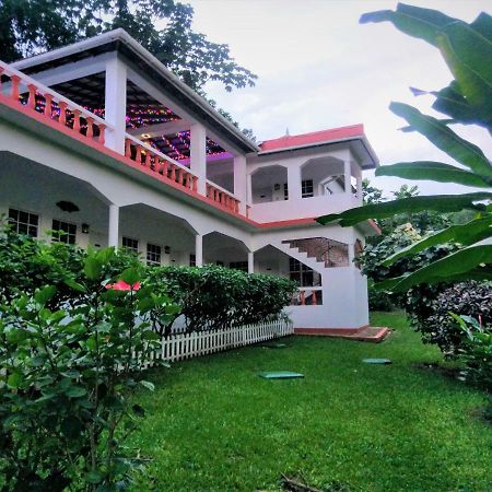 Polish Princess Guest House Port Antonio Esterno foto