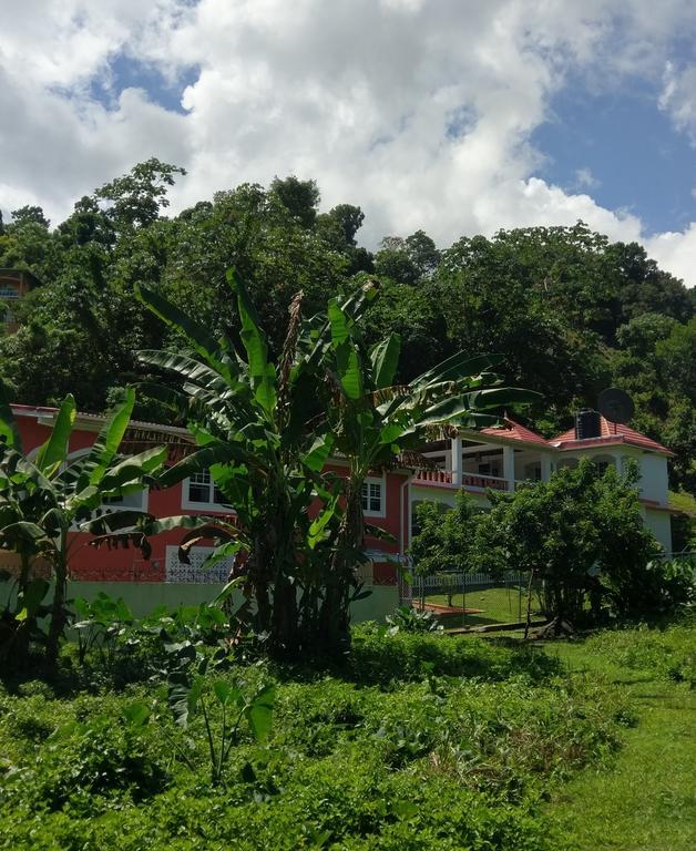 Polish Princess Guest House Port Antonio Esterno foto