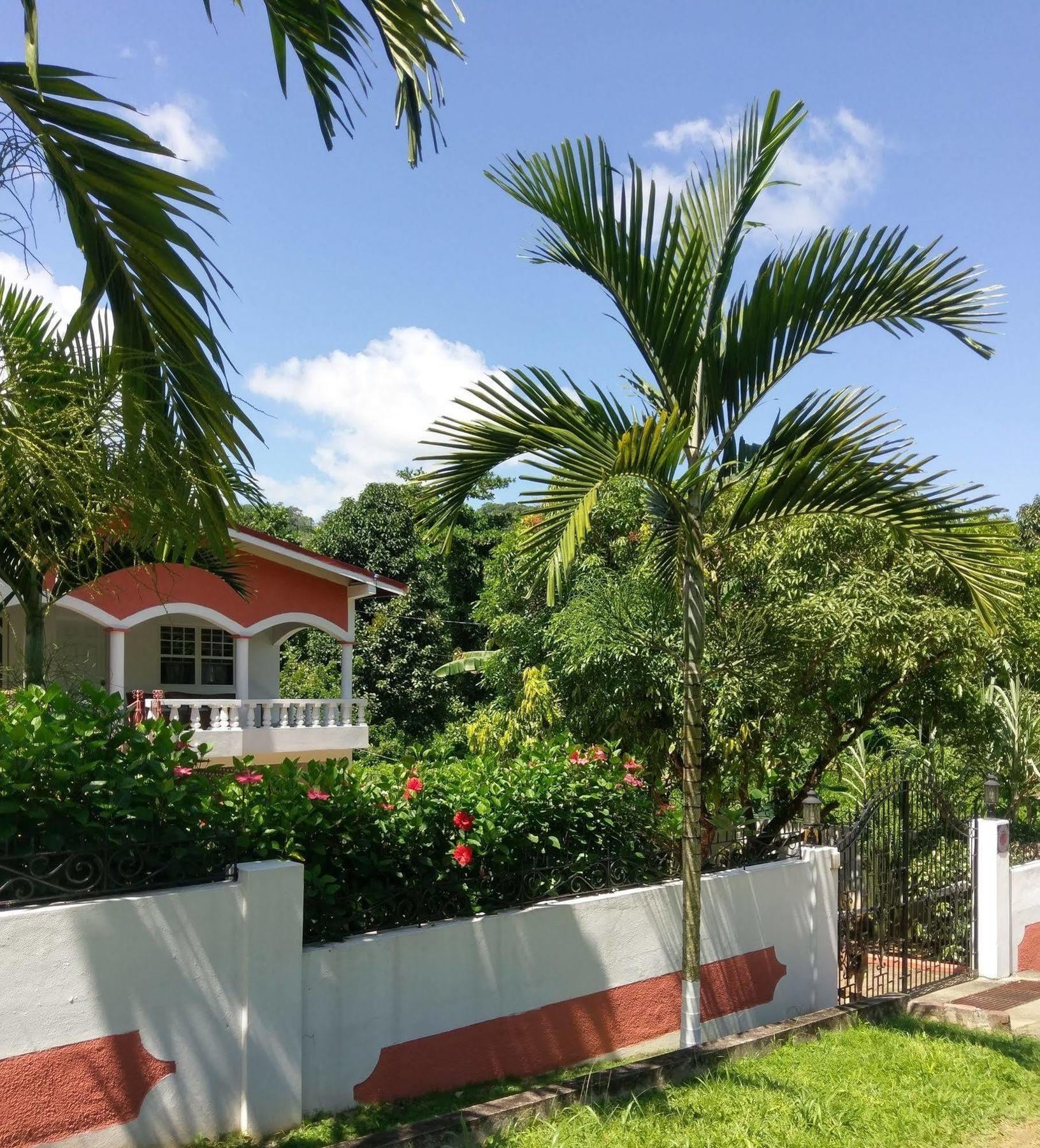 Polish Princess Guest House Port Antonio Esterno foto