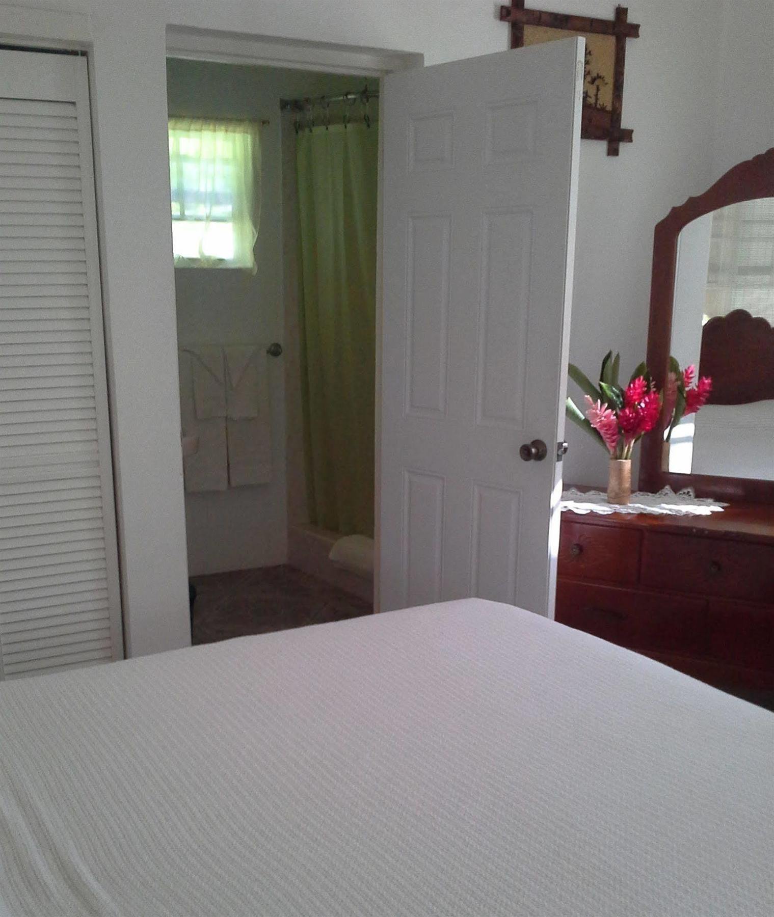 Polish Princess Guest House Port Antonio Esterno foto