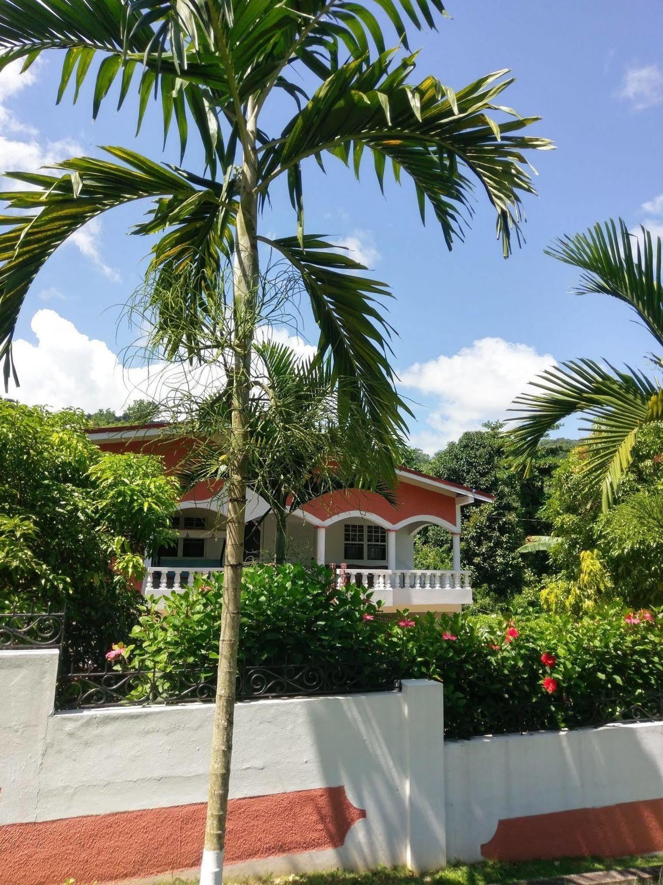 Polish Princess Guest House Port Antonio Esterno foto