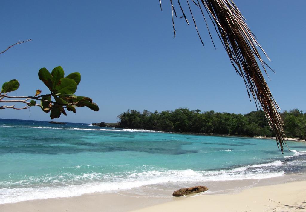 Polish Princess Guest House Port Antonio Esterno foto